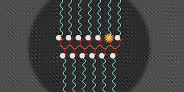 Dual-Imaging-500x2471