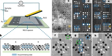 איור למחקר על זכרון גרפן חסכוני באנרגיה. קרדיט: משה בן שלום