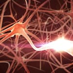 נוירונים. המחשה: depositphotos.com