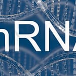 mRNA. אילוסטרציה: depositphotos.com